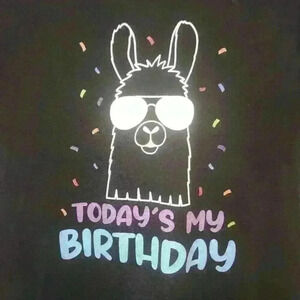 Fortnite lama birthday shirt